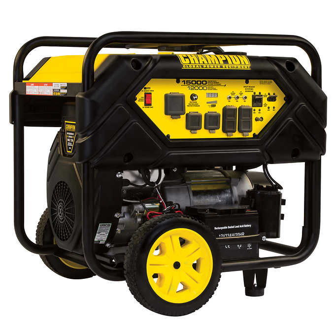 Champion 15,000 W Peak Portable Generator with Intelligauge and Electric Start
